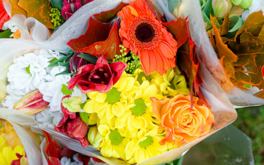 Au fil de l’eau Dimanche 28 septembre 2025